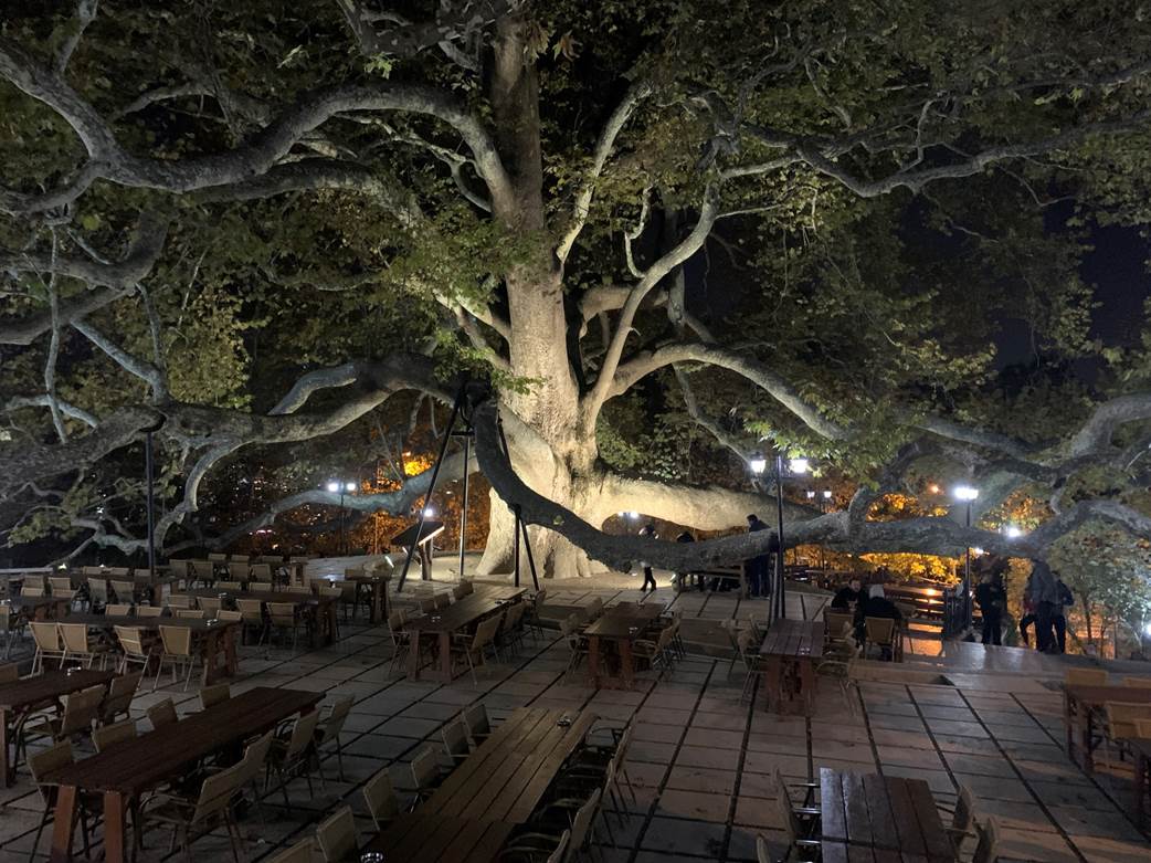 ブルサの訪れるべき観光スポット!世界遺産から穴場スポットまでご紹介 DONOLOG